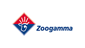 zoogamma time lapse video cantiere