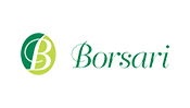 borsari group time lapse video cantiere